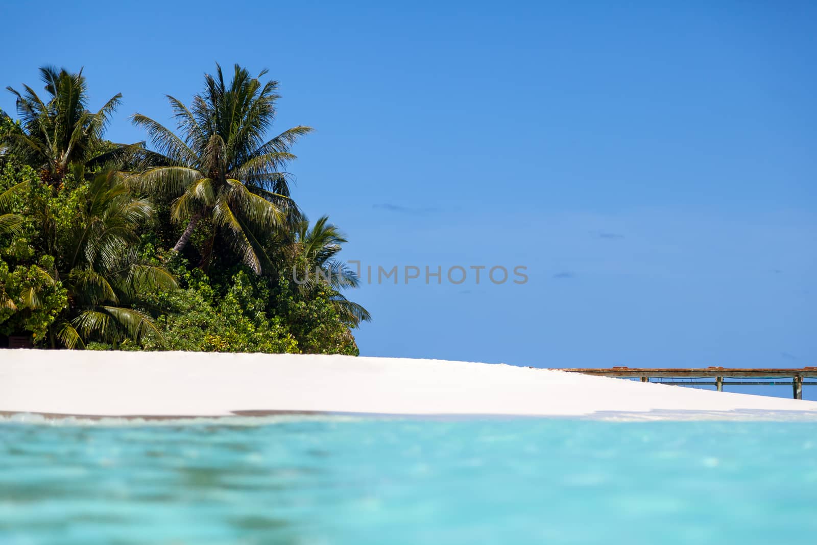 Maldives, beach with palm trees