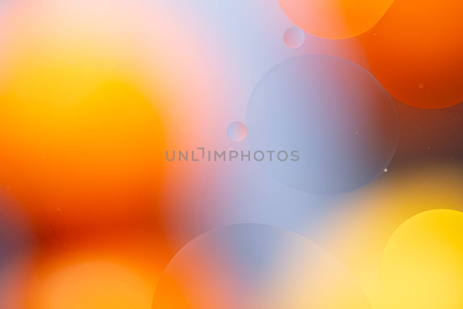Close-up water and oil abstract in a rainbow lighting effect