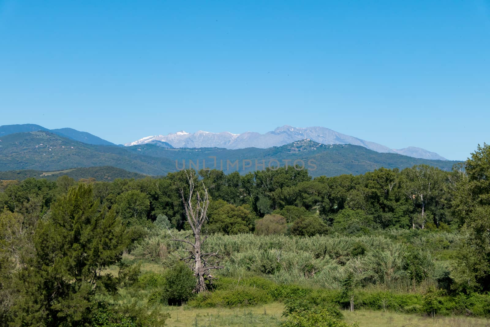 A landscape shot with green forests, mountains and a blue sky