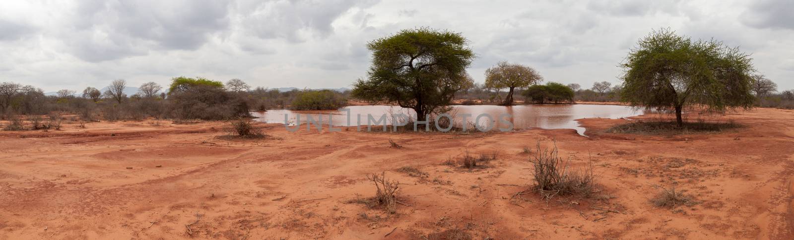 Landscape with a small lake in the savannah of Kenya