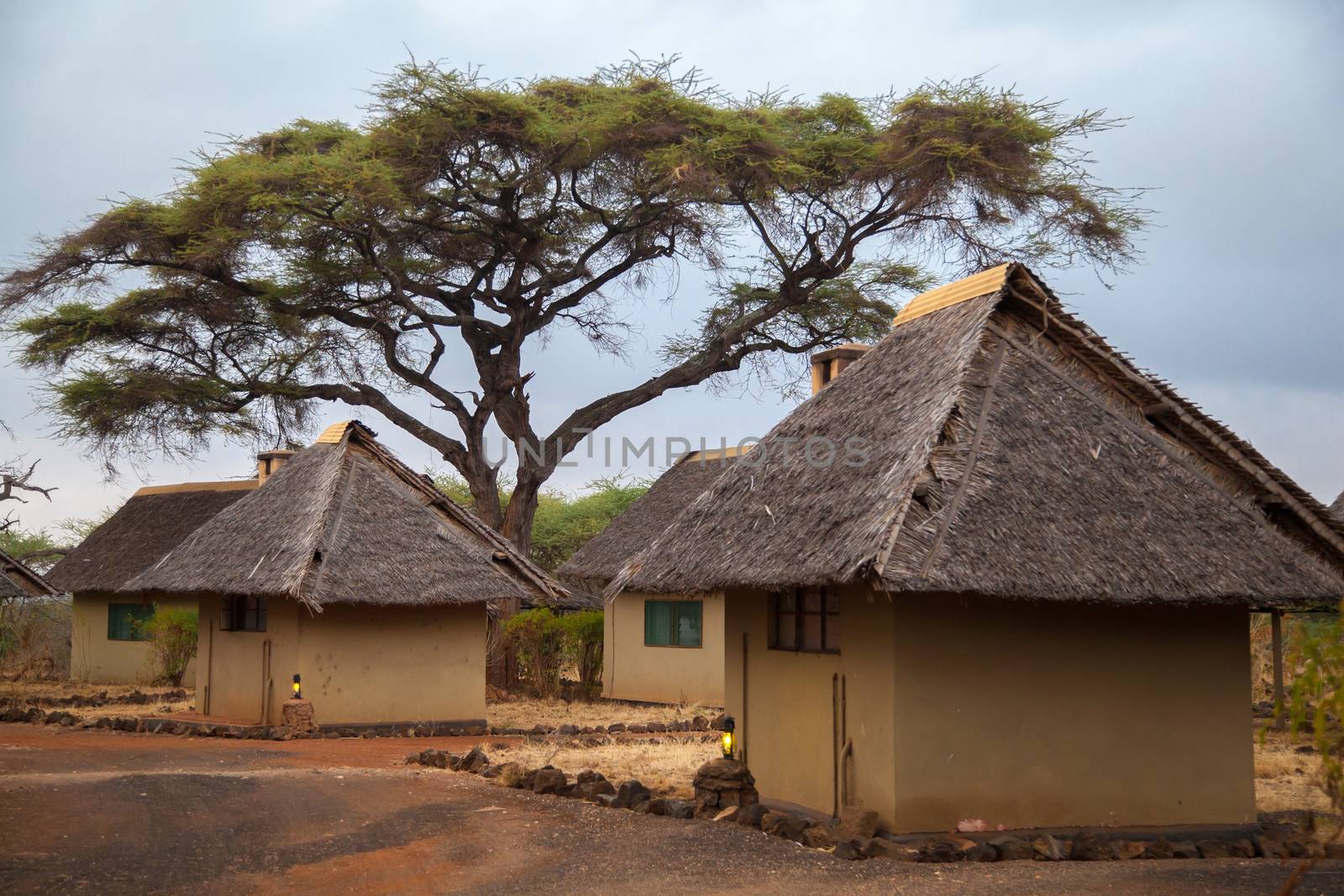 Camp in Kenya, on safari