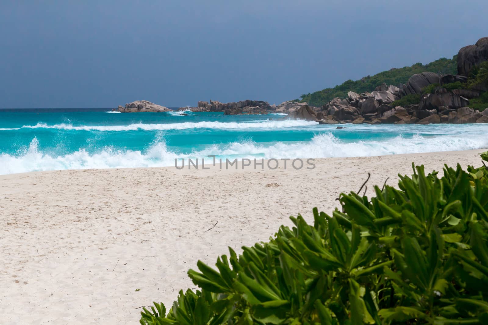 White sand on the beach and waves a lot of green plants and rocks