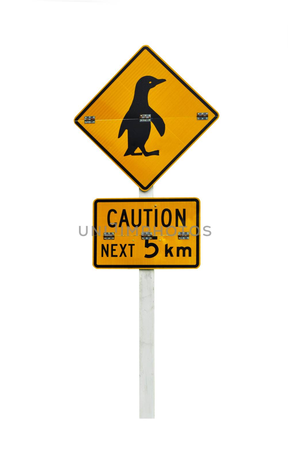 Penguin caution sign isolated on white by fyletto