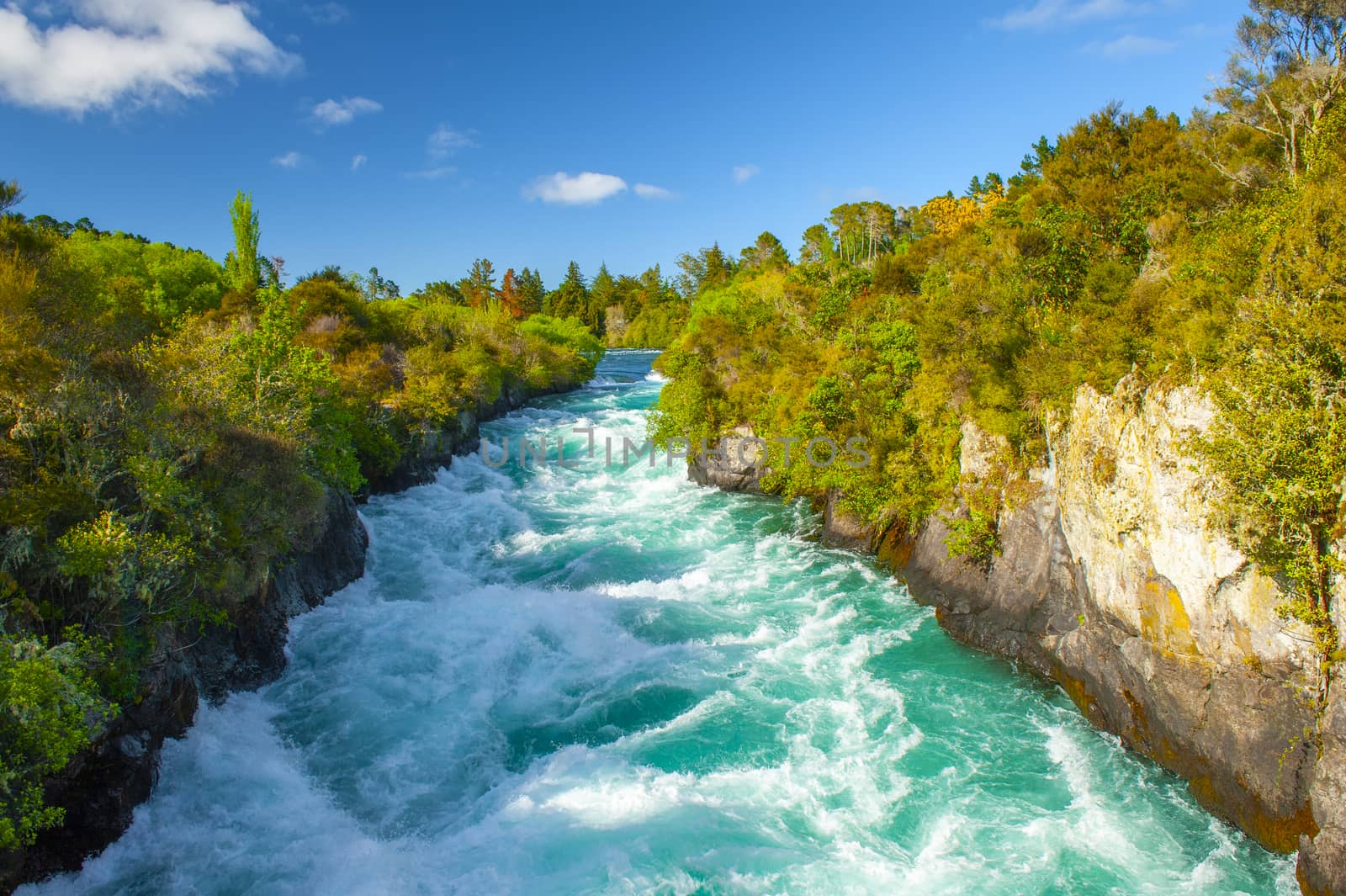 Wild Waikato River near Huka Falls, New Zealand