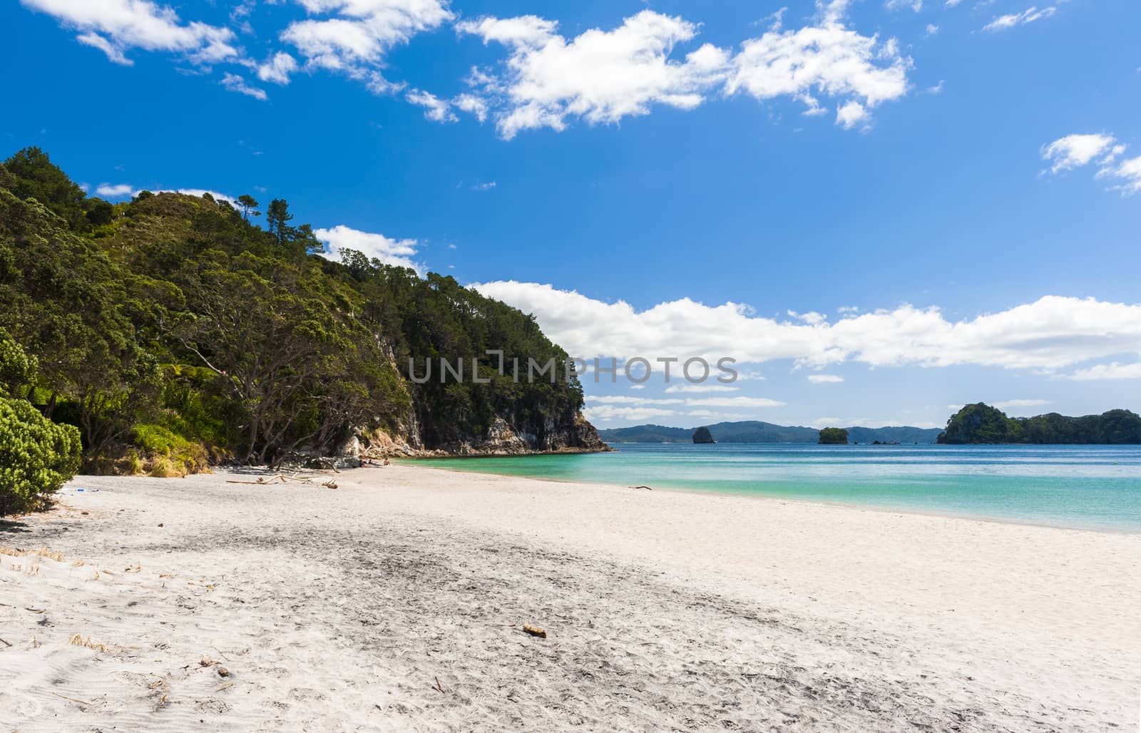 Hahei Beach at Coromandel Peninsula on New Zealand by fyletto