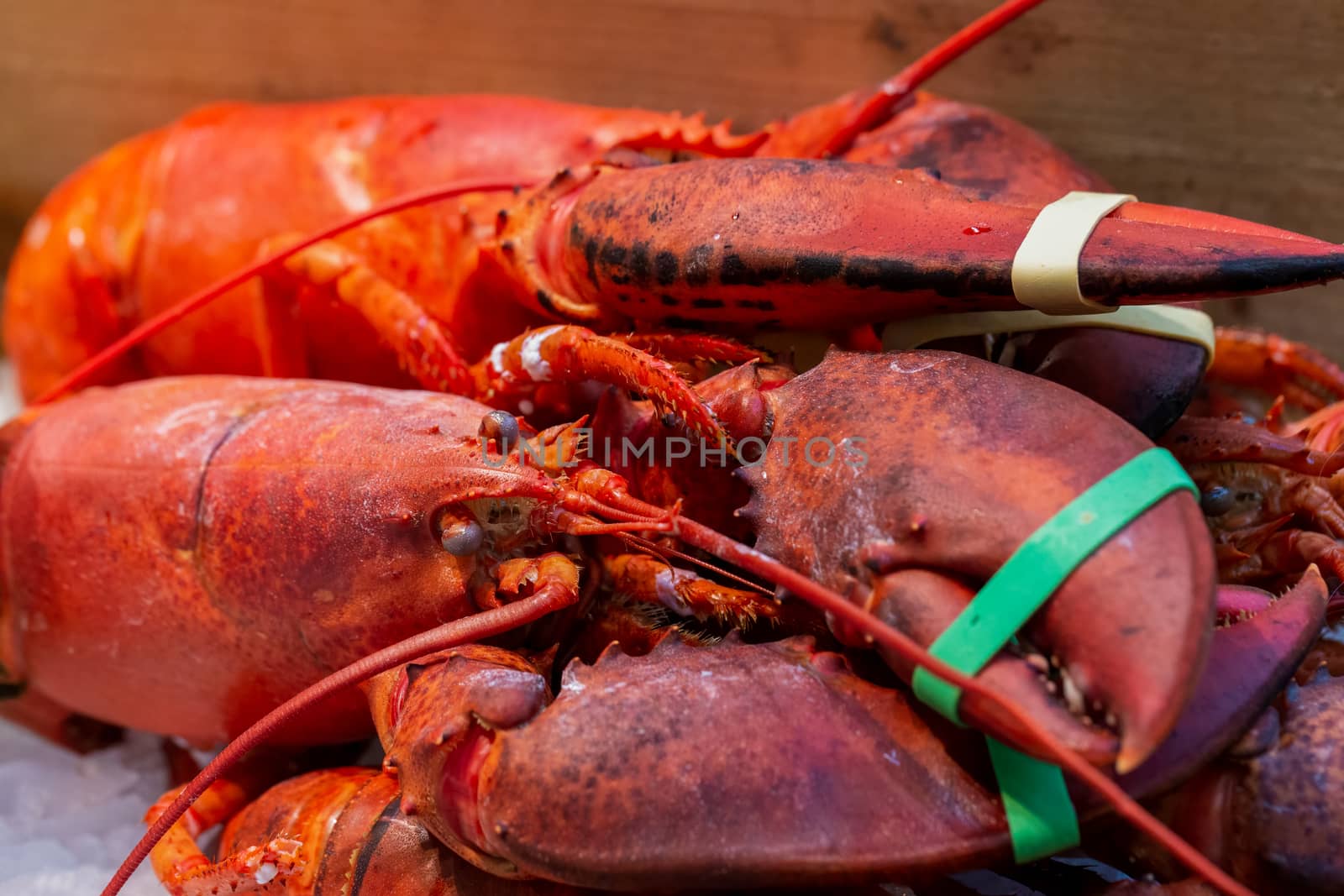 Pile of live lobsters, Nephropidae, on ice in a seafood market