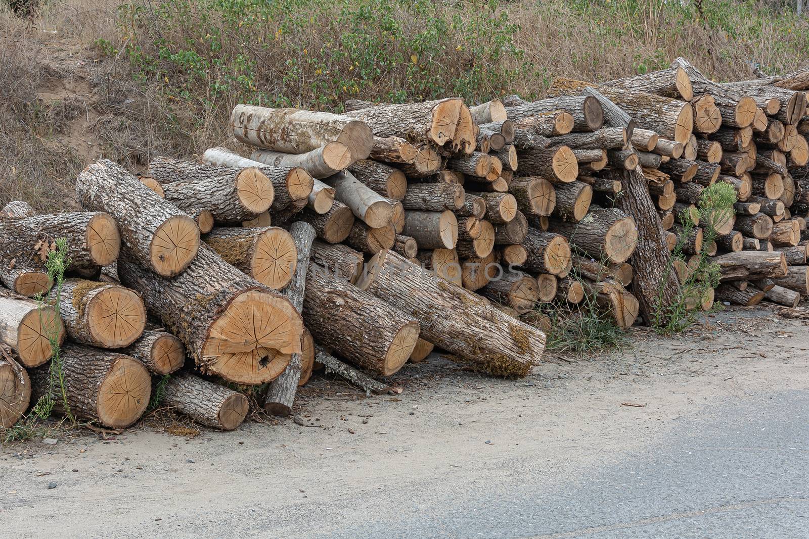 A woodpile is stacked near the road. Stock photo.