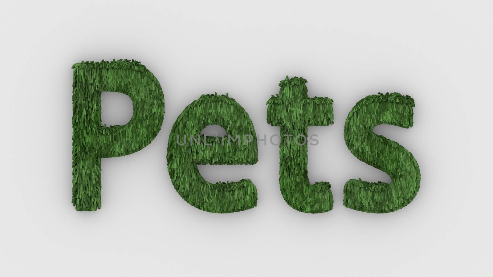 Pets - 3d word green on white background. render of furry letters. pets fur. Pet shop, pet house, pet care emblem logo design template. Veterinary clinics and animal shelters homeless illustration