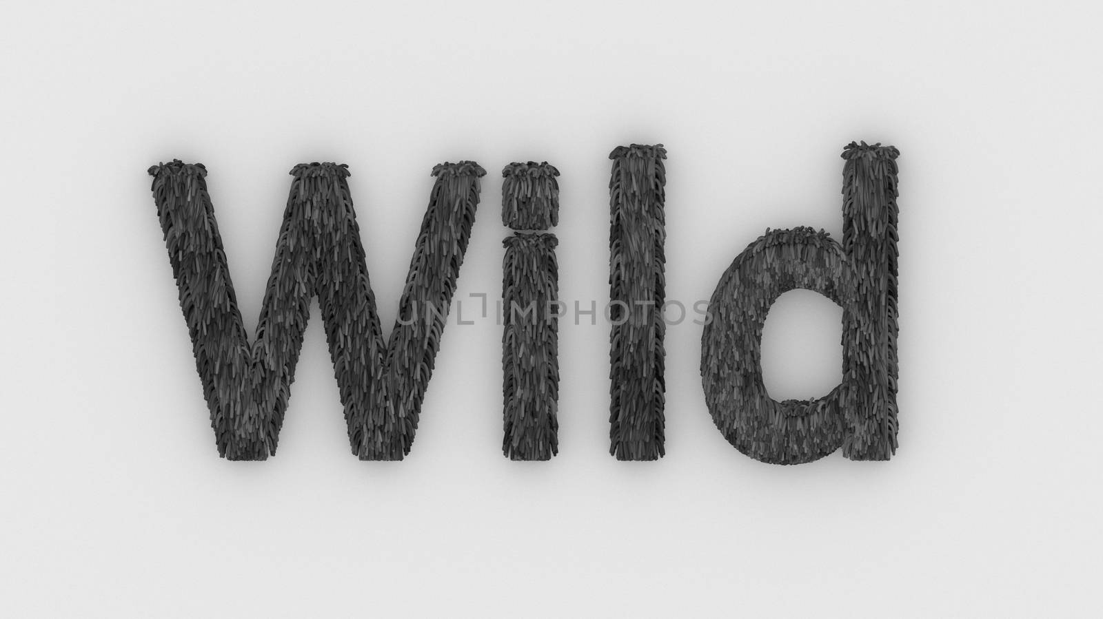 Wild - 3d word gray on white background. render furry letters. hair. wilds fur. emblem logo design template. wild animals, feeling and relationships. beasts of nature
