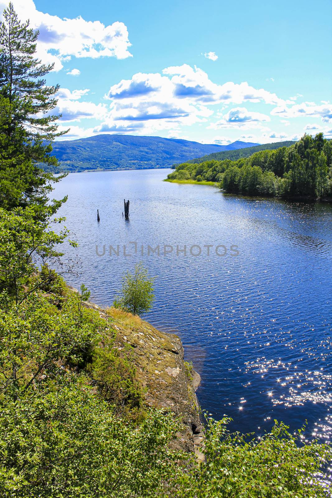 Beautiful mountain and seascape in Norway. Fjords river forest nature. by Arkadij