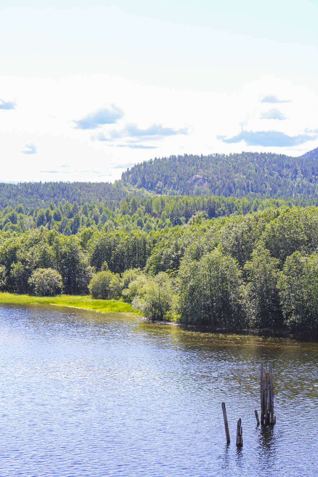 Beautiful mountain and seascape in Norway. Fjords river forest nature. by Arkadij