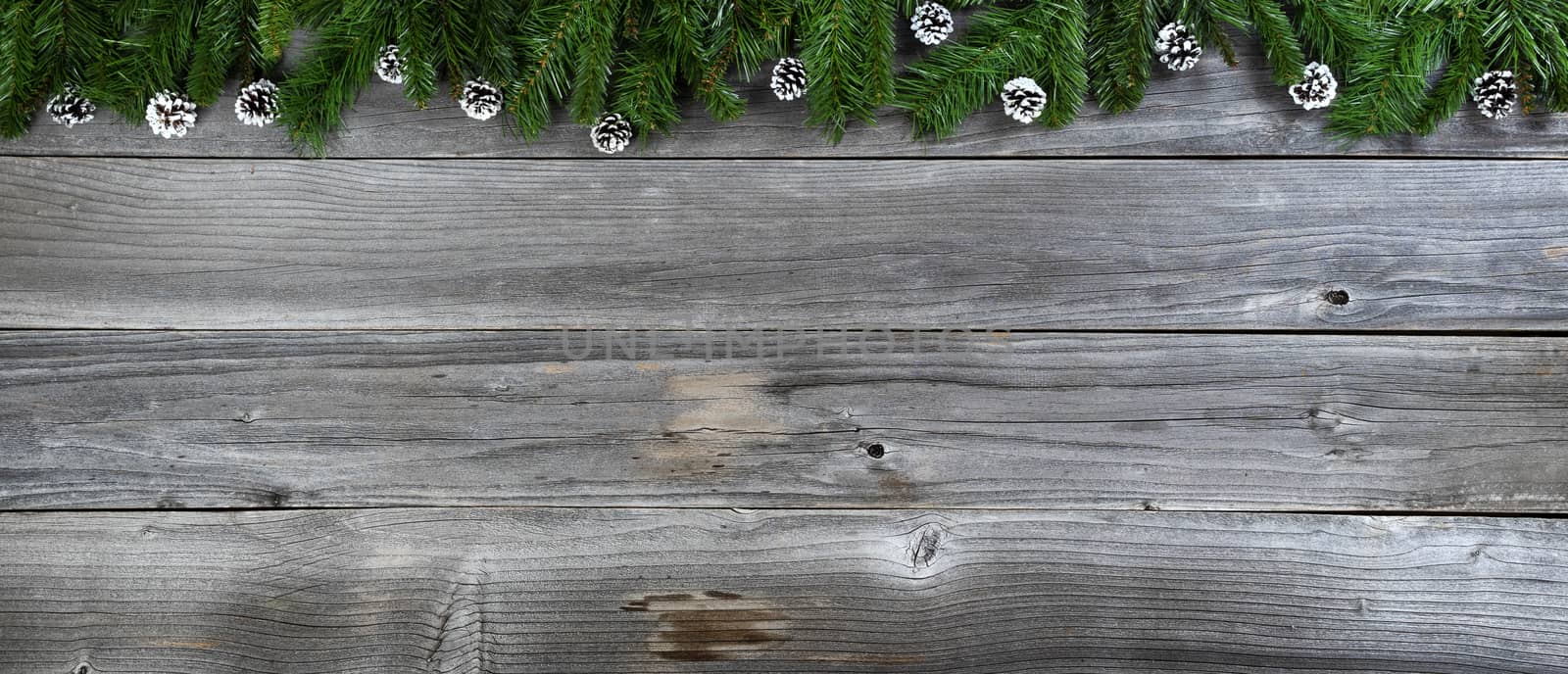 Merry Christmas and Happy New Year theme with fir branches plus  by tab1962