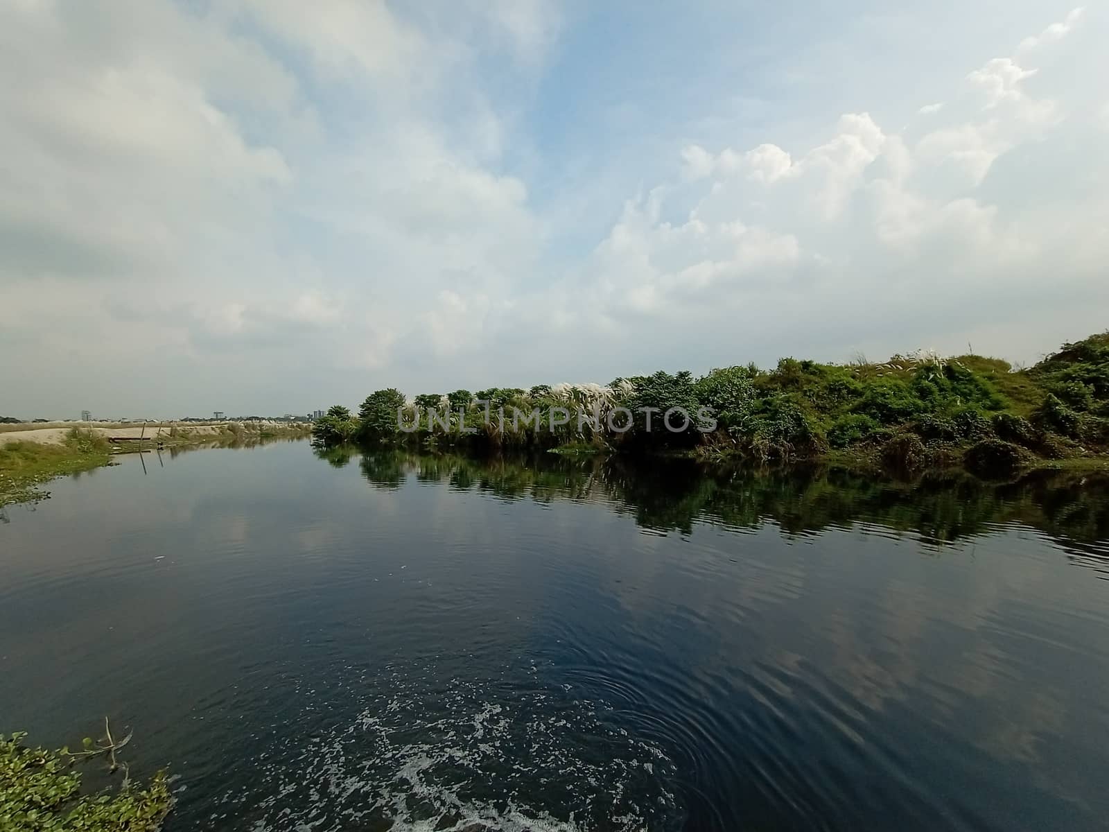 lake and green view with sky and nature