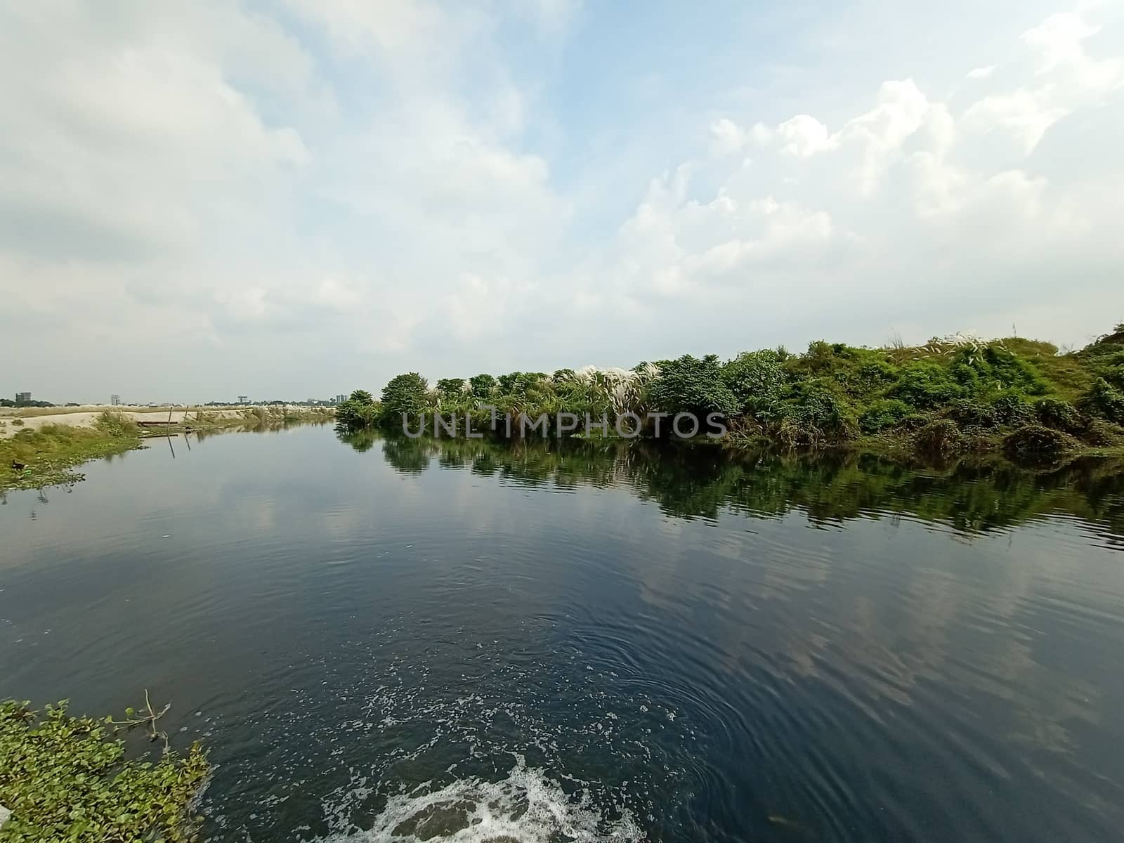 lake and green view with sky and nature