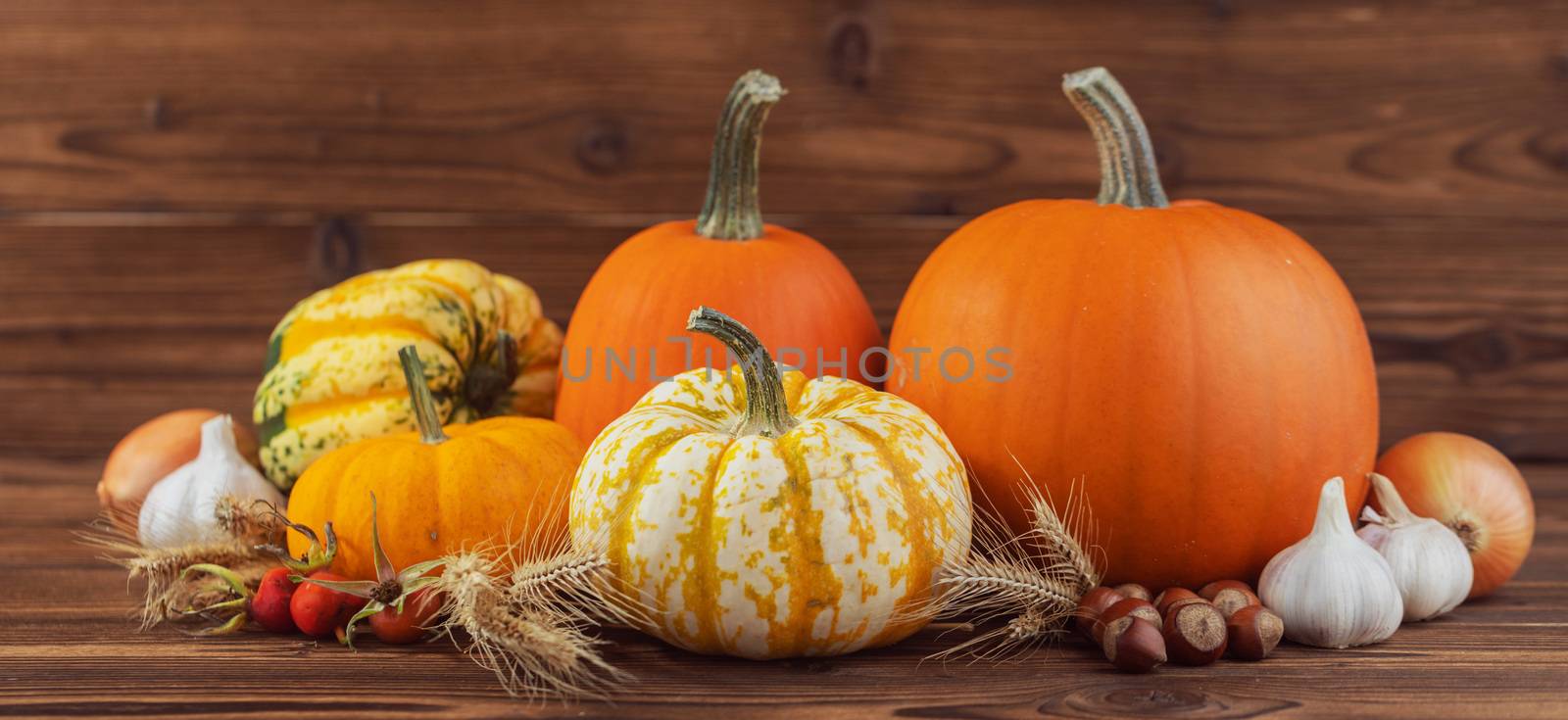 Autumn harvest still life with pumpkins , wheat ears , hazelnuts , garlic , onion and rosehip berries on wooden background