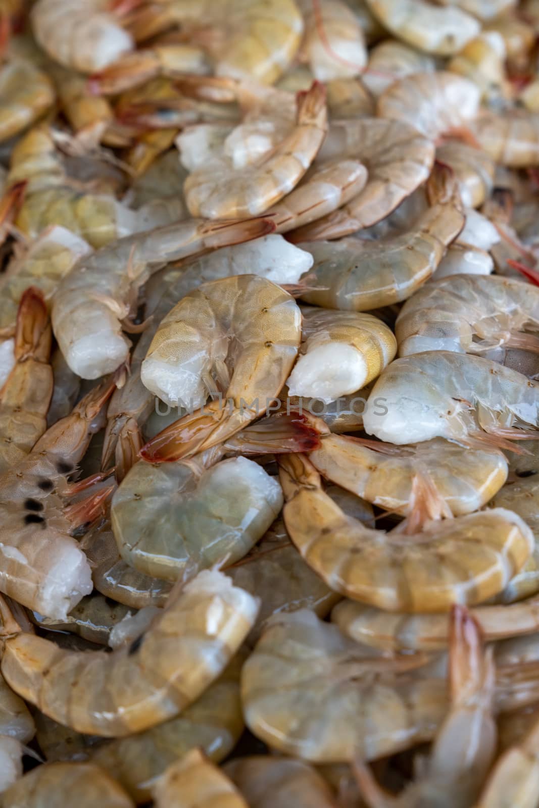 frozen tropical shrimp at the seafood market