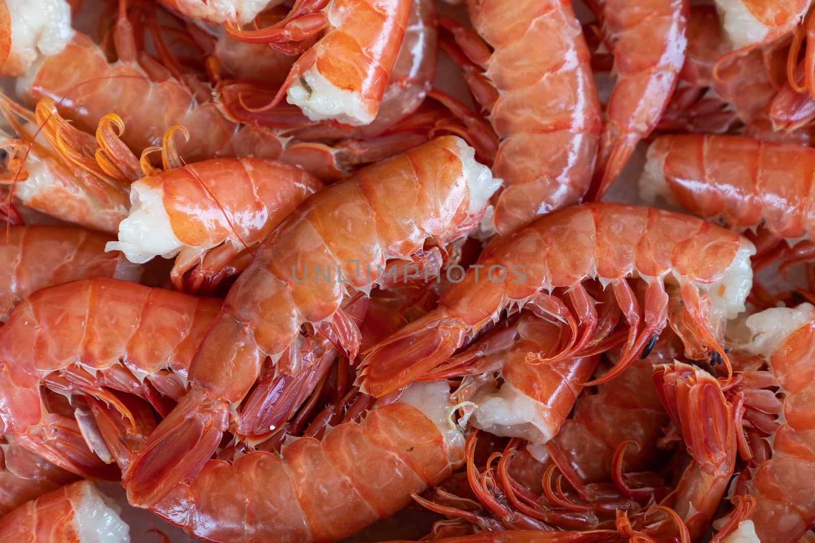 Frozen argentine red shrimp by Robertobinetti70