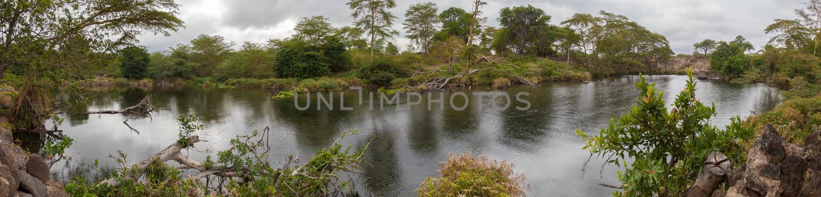 Landscape of Kenya, Mzima Springs with a lot of plant