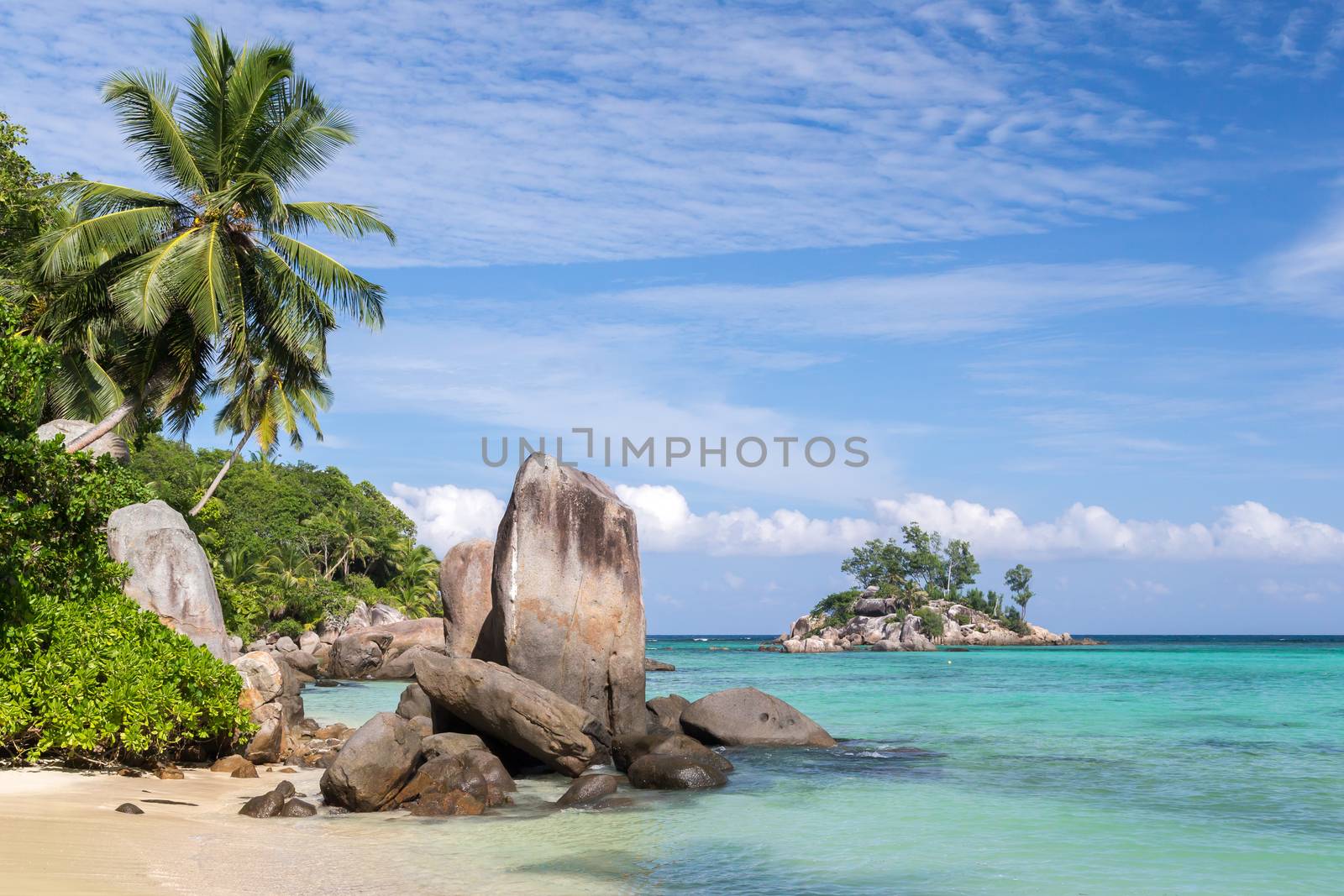 Big stones on the beach with a lot of green plants