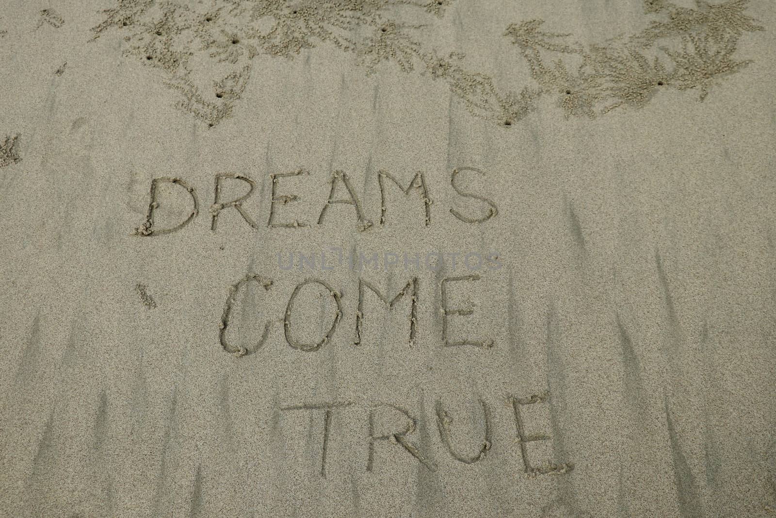 dreams come true, concept on the sand.