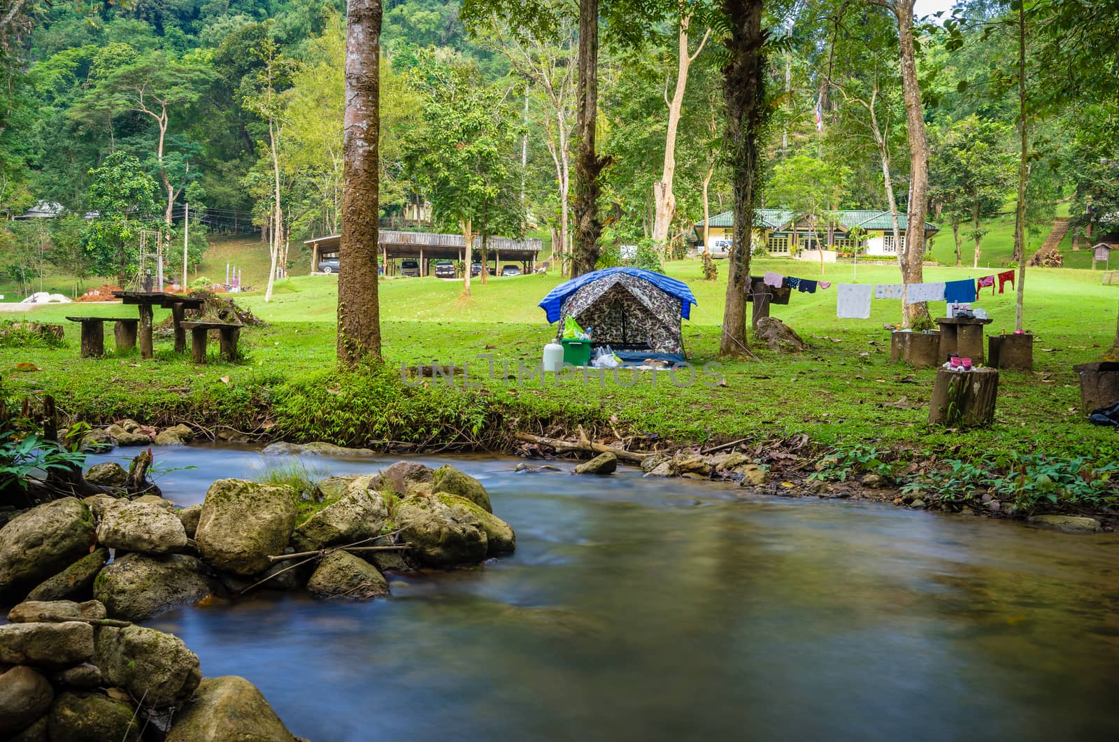 Camping and tent in nature park