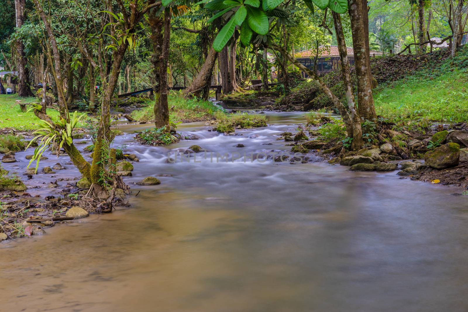 Small stream from mountain