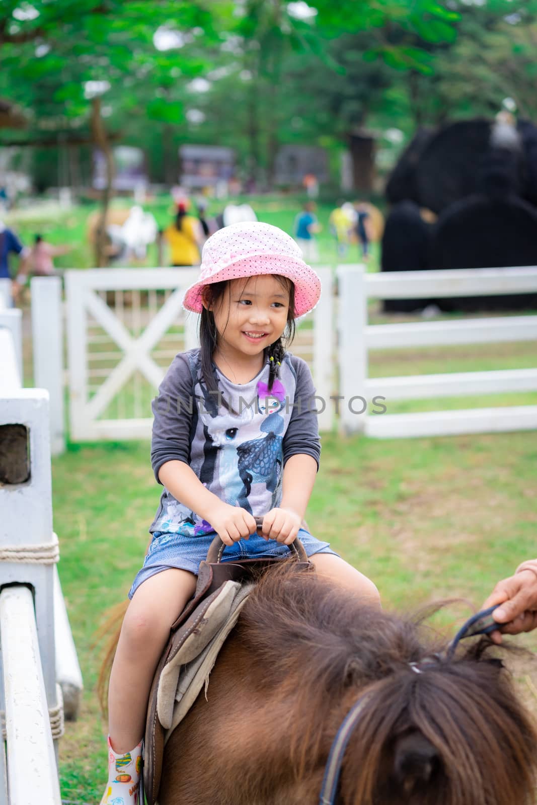 little girl learning to ride horse