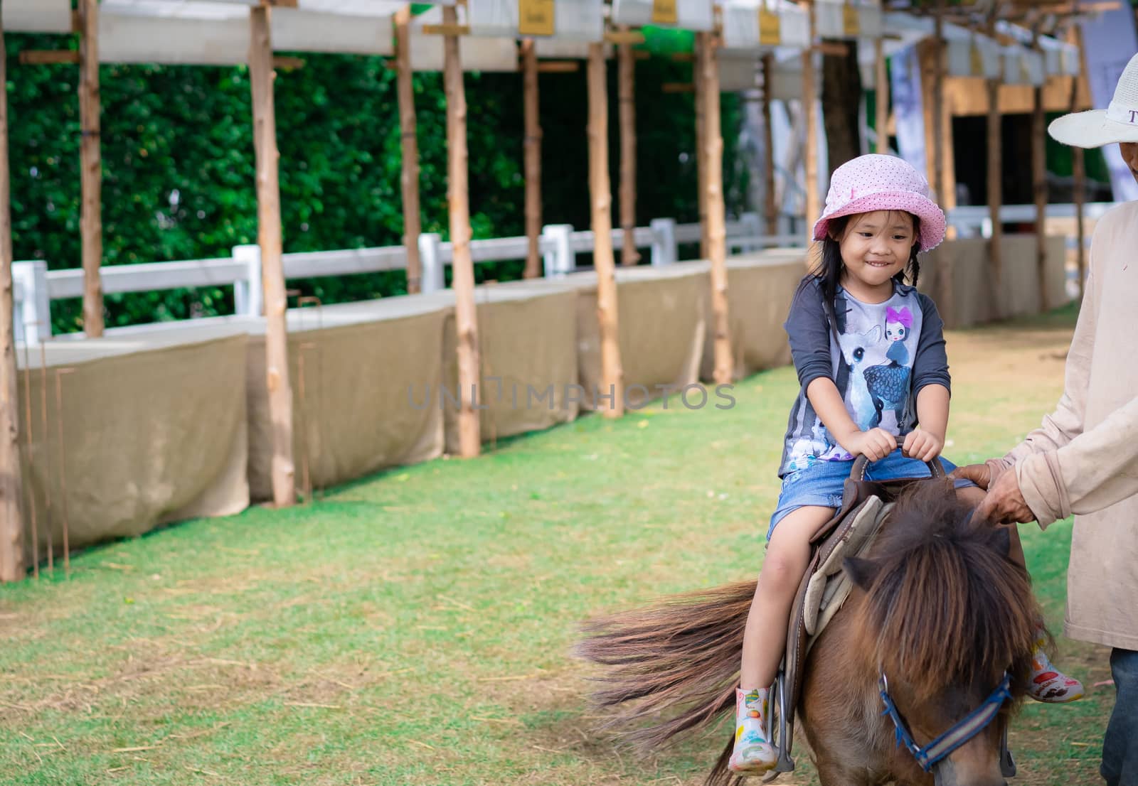 little girl learning to ride horse