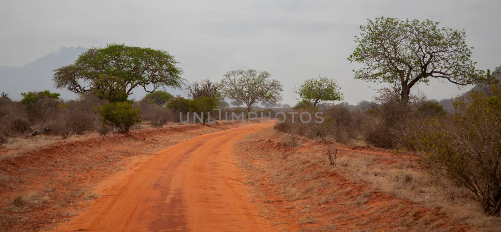 Landscape in Afrika, on safari in Kenya by 25ehaag6