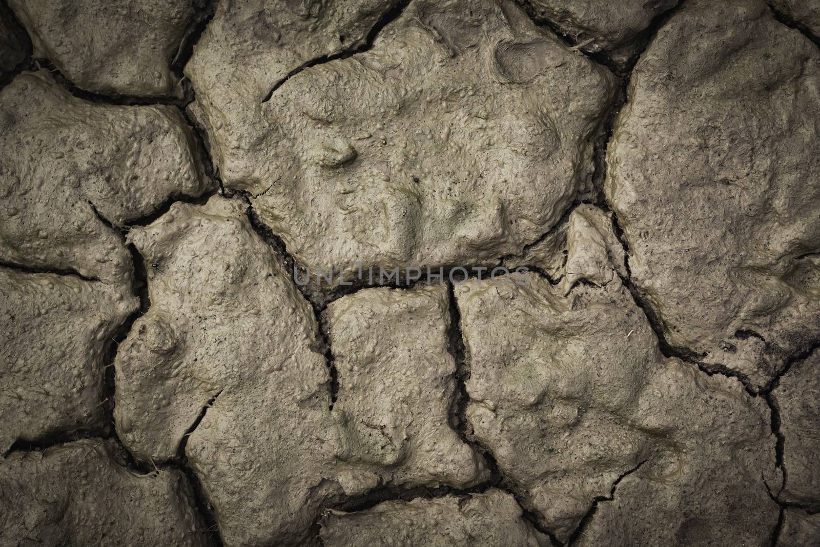 Desolate earth from above. Dry cracked surface top view. Cracking land background with concept of lifeless.