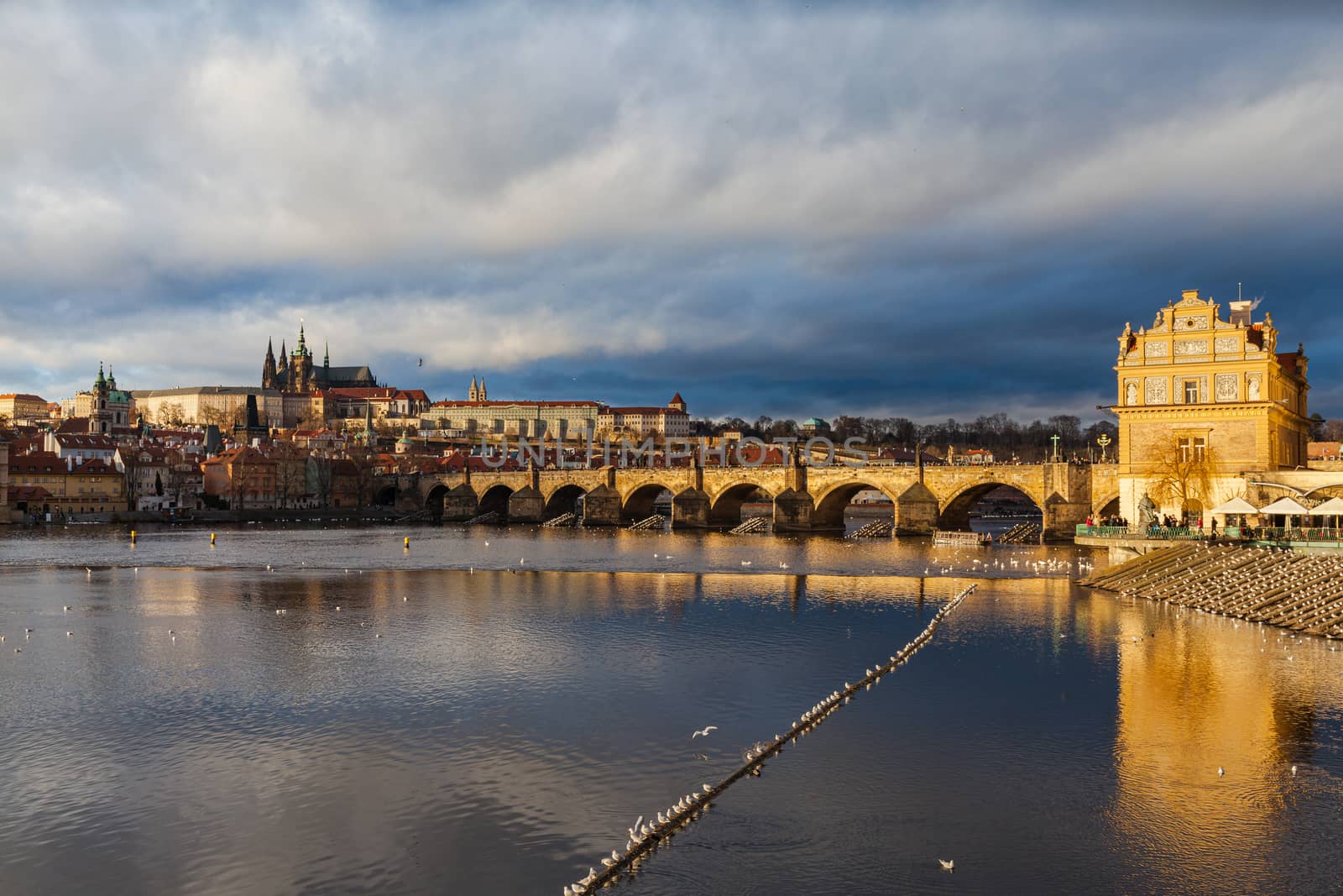 Panorama view of Prague Castle and St. Vitus Cathedral located i by VogelSP
