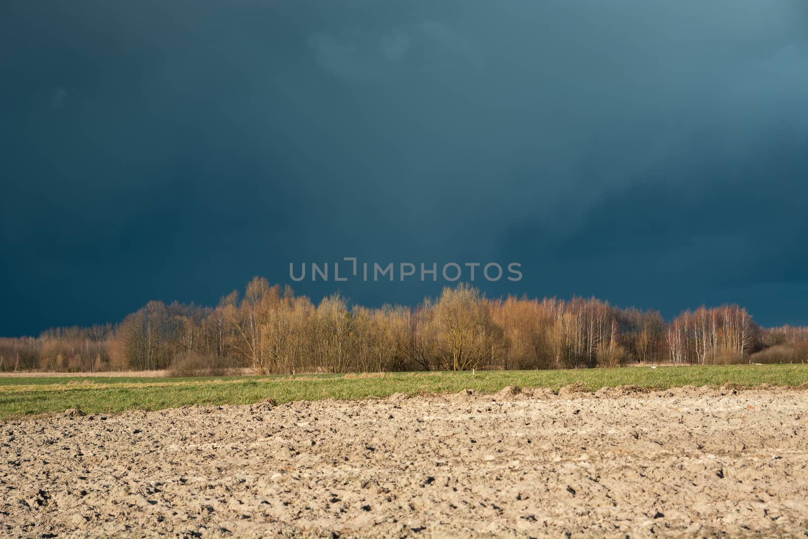 Ploughed field, autumn forest and dark big cloud on the sky