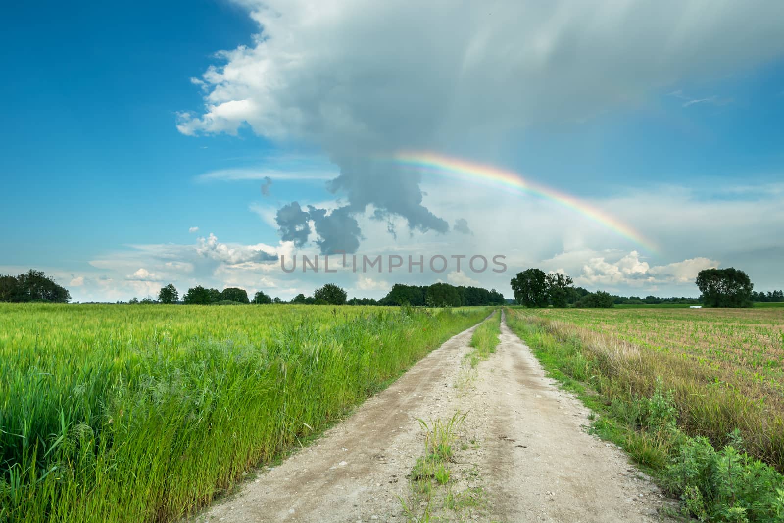 Country road through green fields and rainbow on blue sky, summer landscape