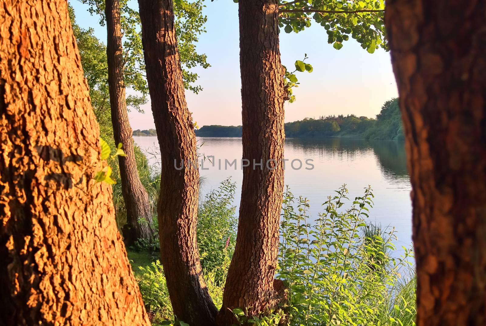 Beautiful sunny landscape at a lake with a reflective water surface.