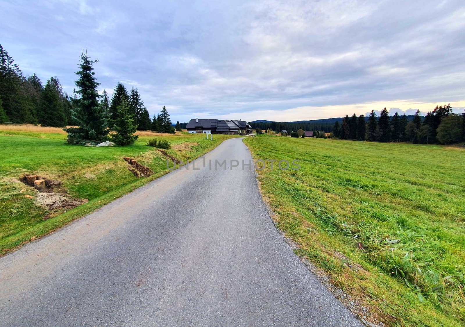Country road in Sumava National Park. by hamik