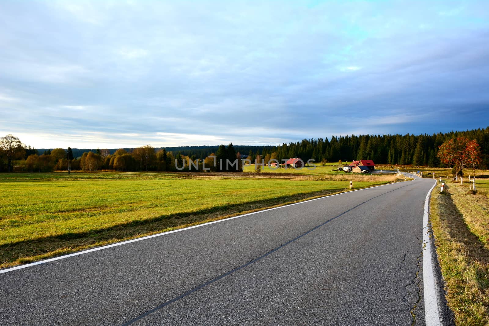 Country road near Kvilda village between meadows in Sumava National Park with beautiful sunset light. 