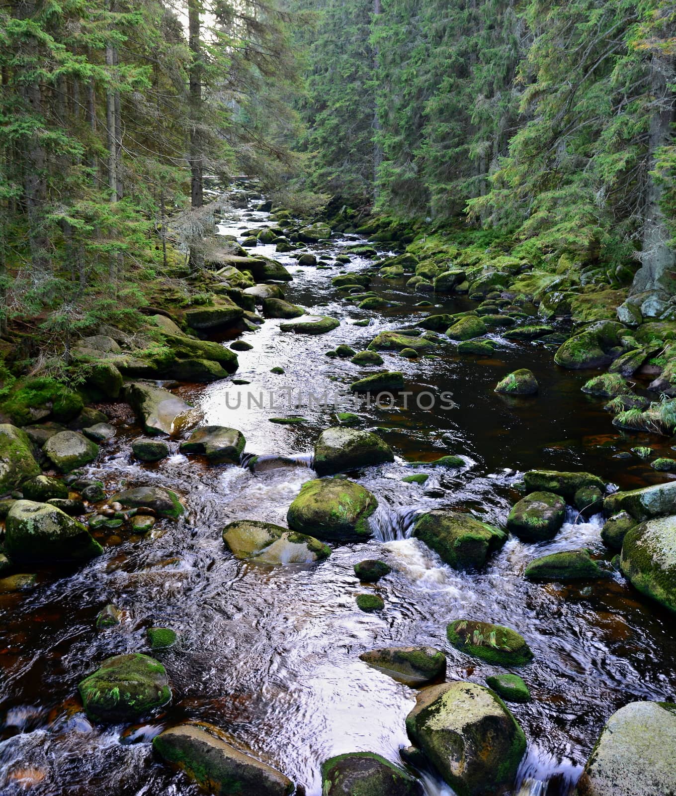 Wild mountain river Vydra with stony bed in Sumava National Park, South Bohemia.