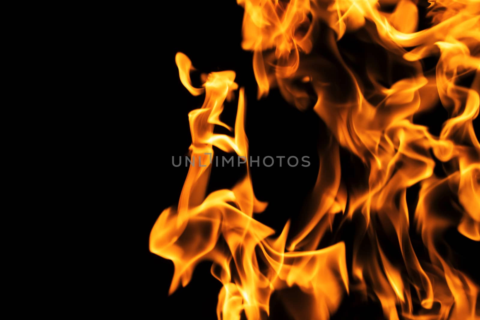 Fire flames on black background isolated. Burning gas or gasolin by YevgeniySam