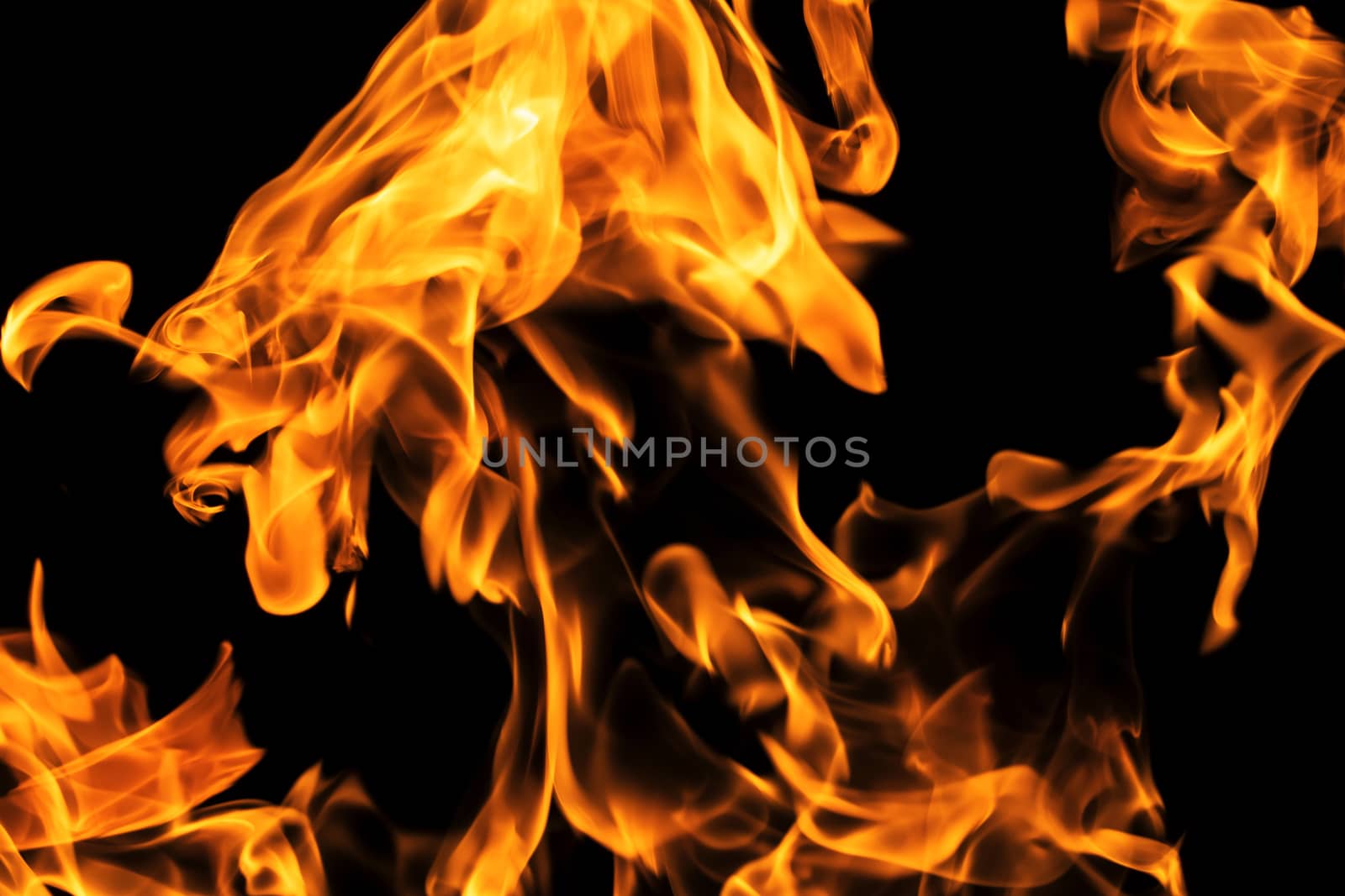 Fire flames on black background isolated. Burning gas or gasoline burns with fire and flames. Flaming burning sparks close-up, fire patterns. Infernal glow of fire in the dark with copy-space