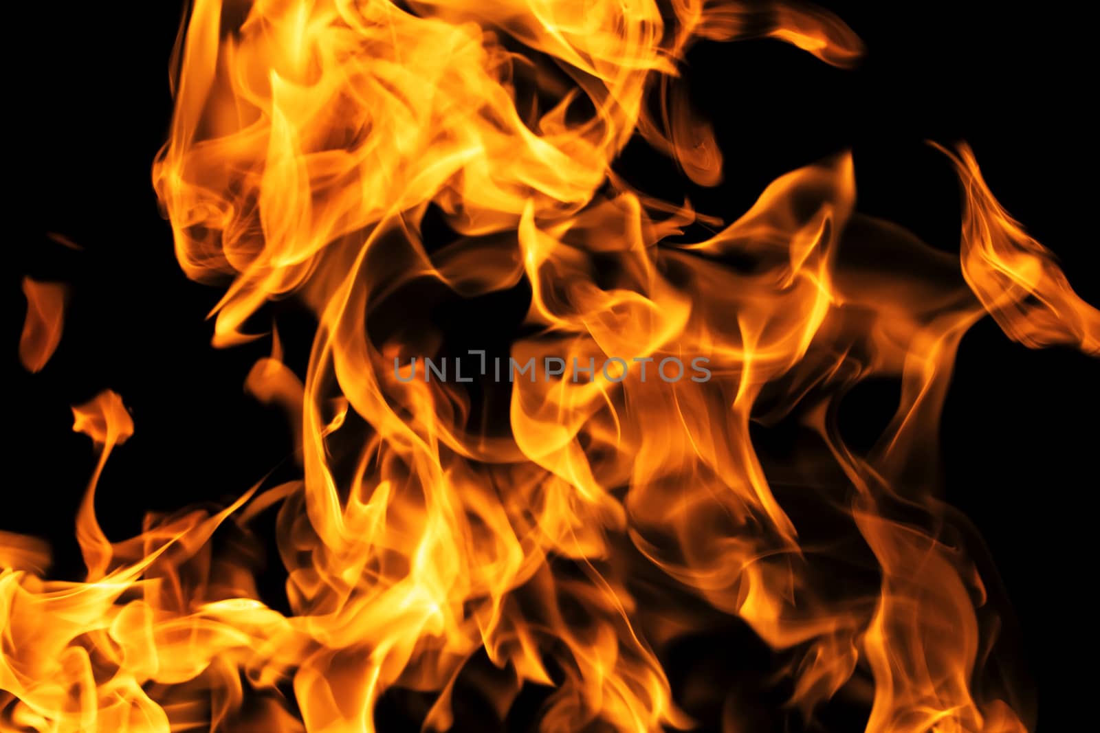 Fire flames on black background isolated. Burning gas or gasolin by YevgeniySam