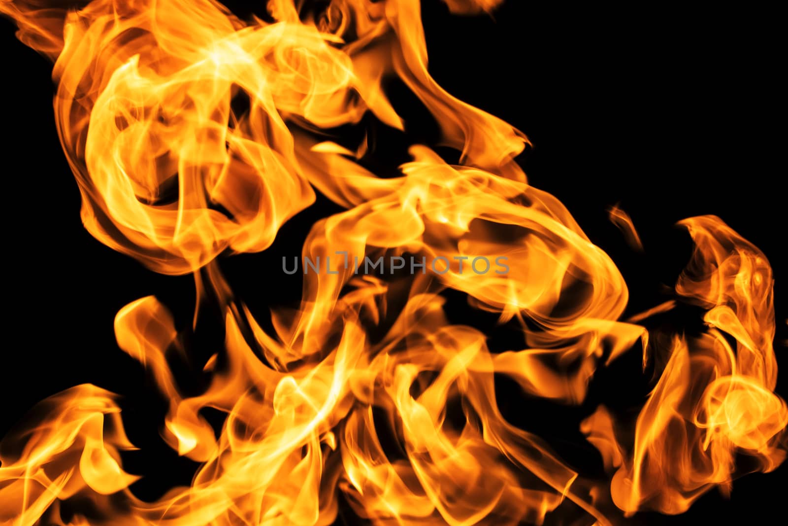 Fire flames on black background isolated. Burning gas or gasolin by YevgeniySam