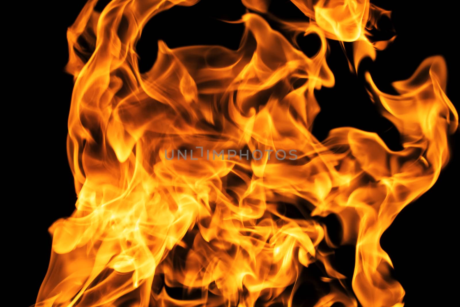 Fire flames on black background isolated. Burning gas or gasoline burns with fire and flames. Flaming burning sparks close-up, fire patterns. Infernal glow of fire in the dark with copy-space