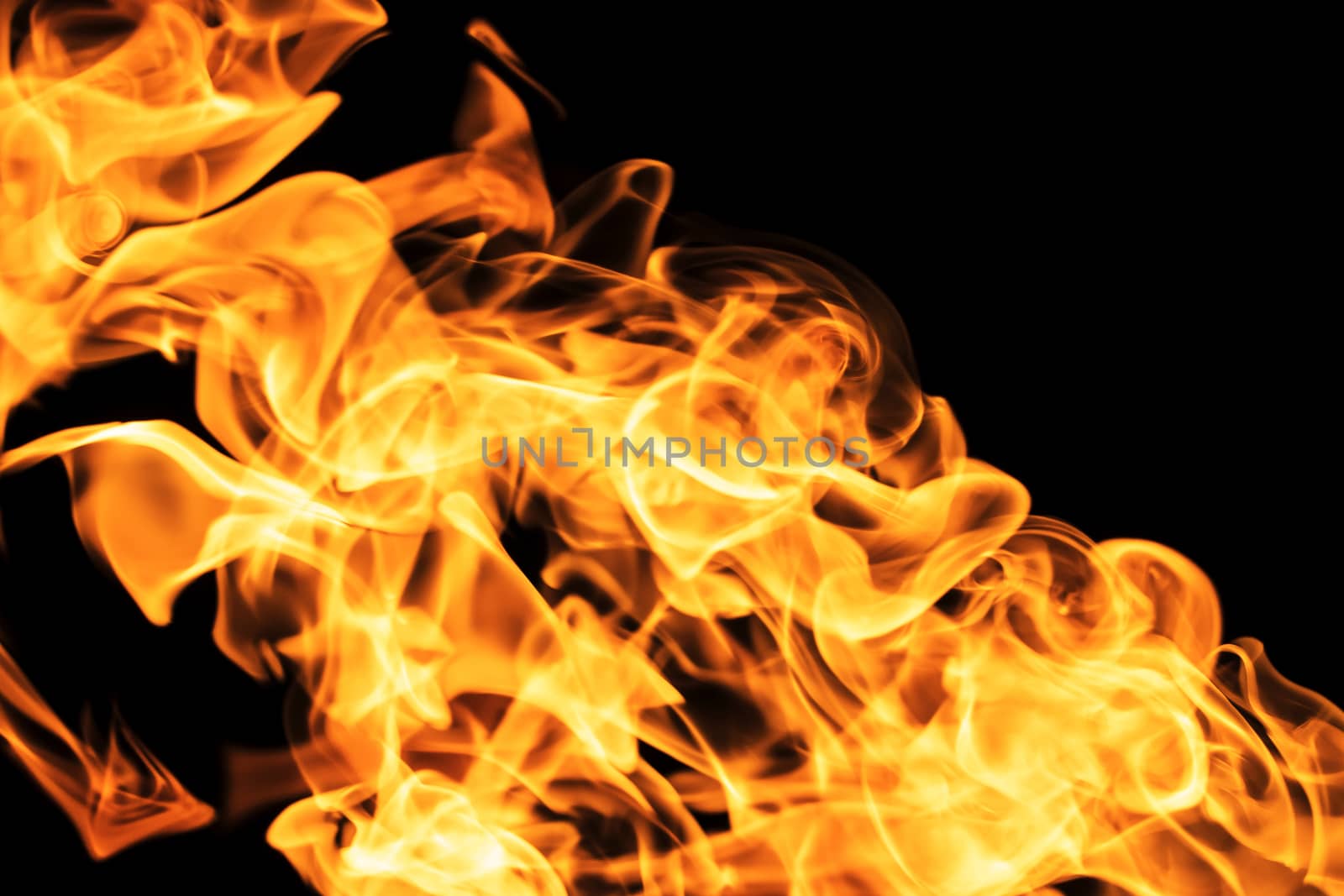 Fire flames on black background isolated. Burning gas or gasoline burns with fire and flames. Flaming burning sparks close-up, fire patterns. Infernal glow of fire in the dark with copy-space