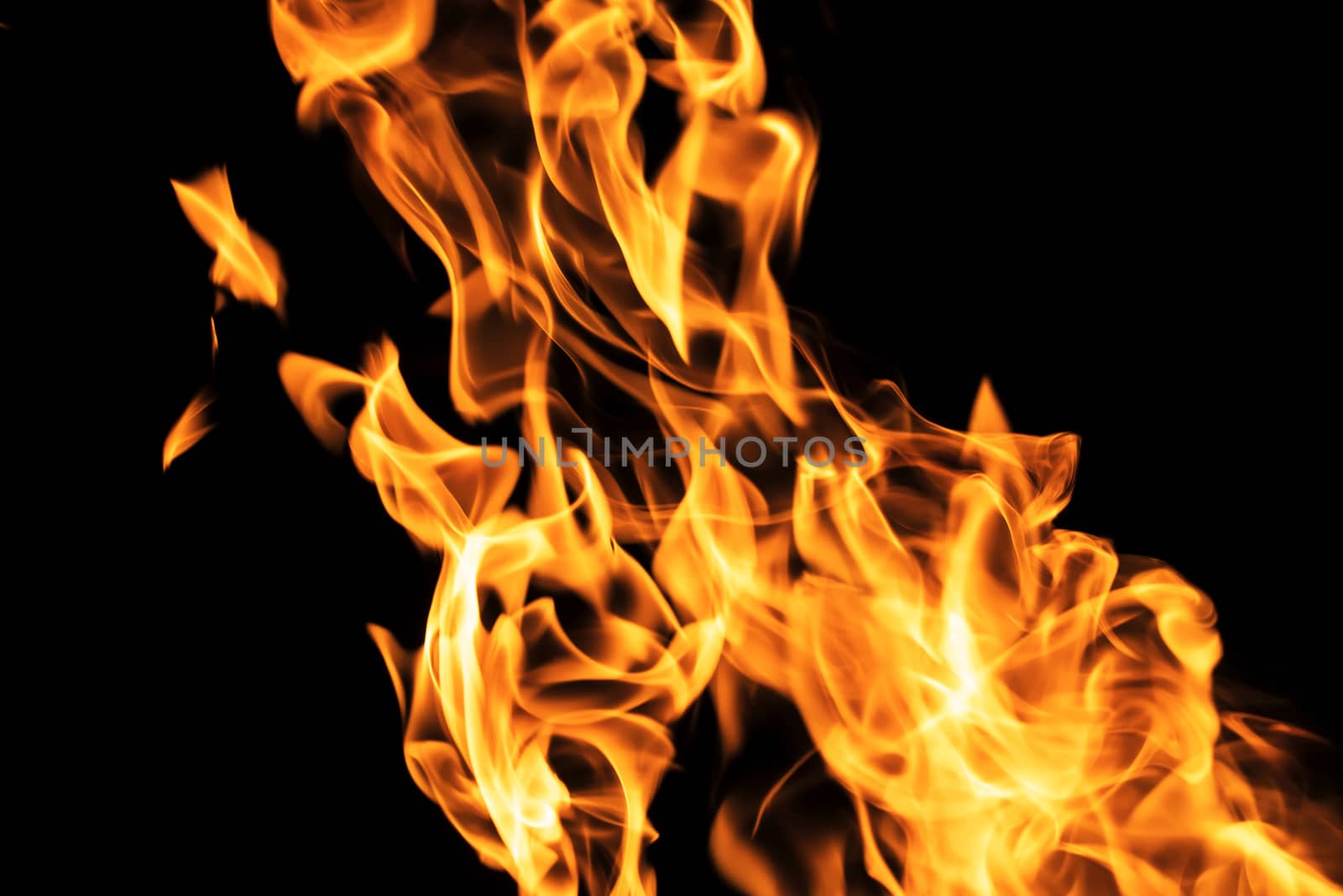 Fire flames on black background isolated. Burning gas or gasolin by YevgeniySam