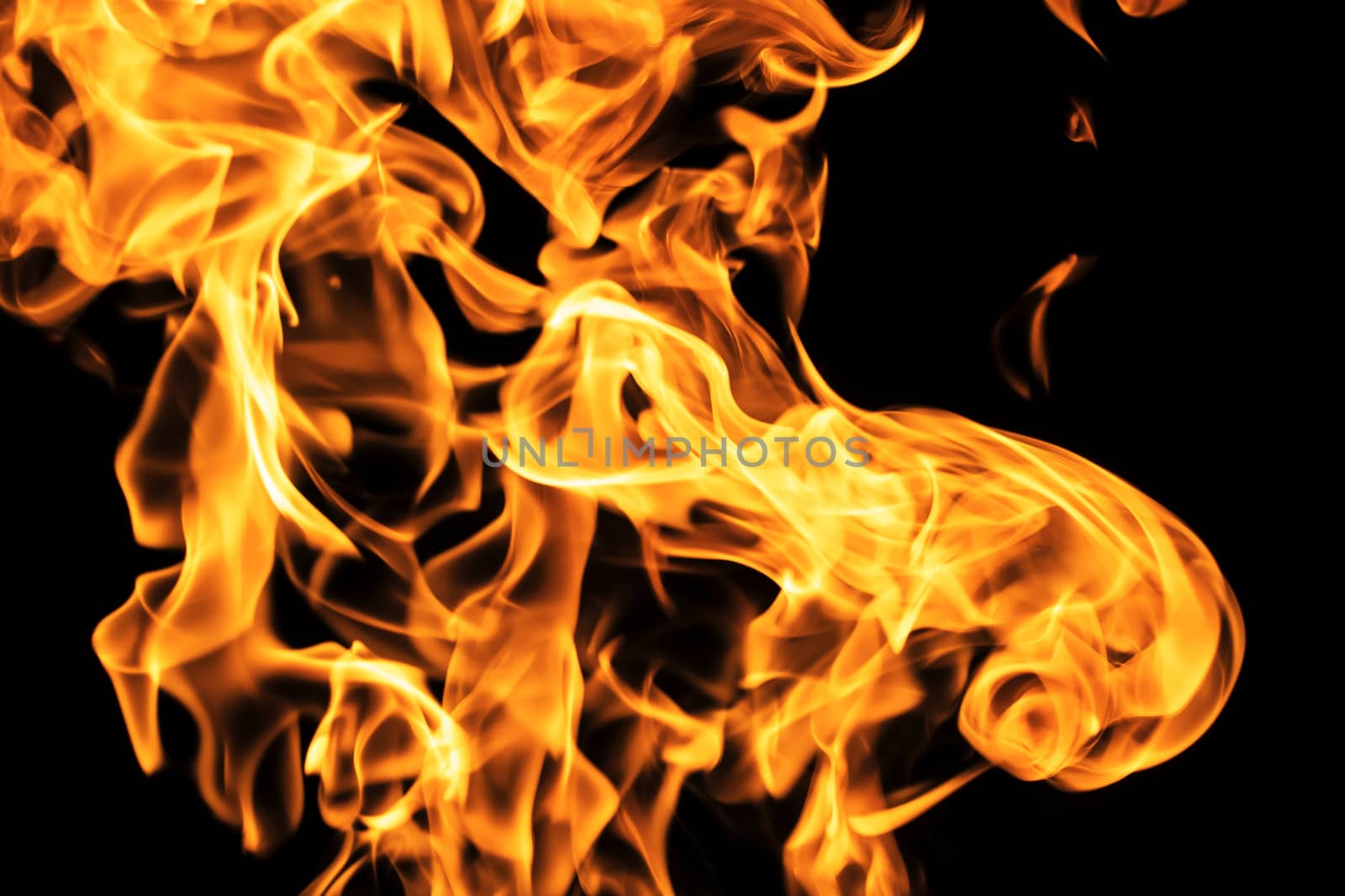 Fire flames on black background isolated. Burning gas or gasolin by YevgeniySam