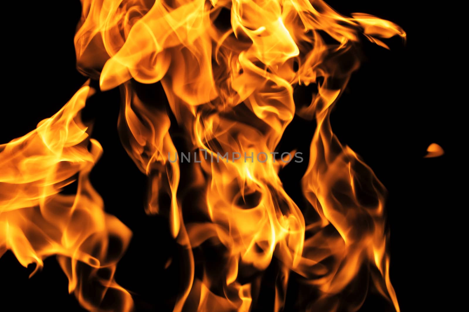 Fire flames on black background isolated. Burning gas or gasoline burns with fire and flames. Flaming burning sparks close-up, fire patterns. Infernal glow of fire in the dark with copy-space