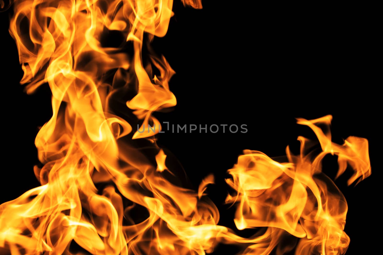 Fire flames on black background isolated. Burning gas or gasolin by YevgeniySam