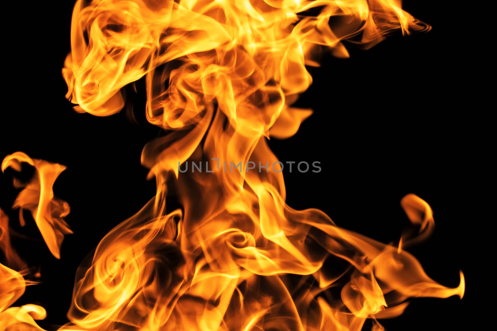 Fire flames on black background isolated. Burning gas or gasolin by YevgeniySam