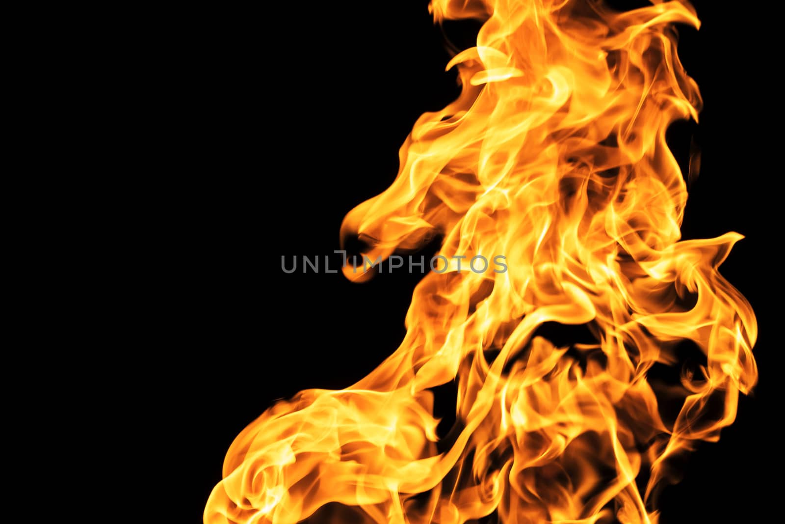 Fire flames on black background isolated. Burning gas or gasolin by YevgeniySam