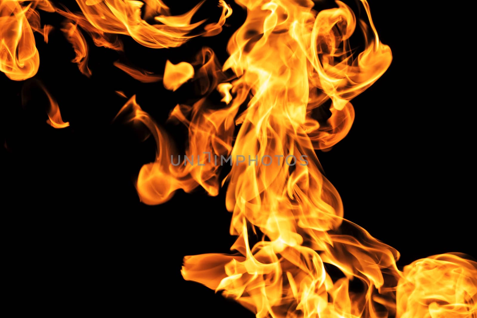 Fire flames on black background isolated. Burning gas or gasoline burns with fire and flames. Flaming burning sparks close-up, fire patterns. Infernal glow of fire in the dark with copy-space